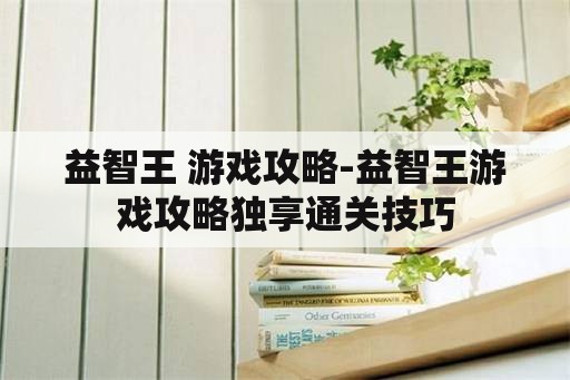 益智王 游戏攻略-益智王游戏攻略独享通关技巧